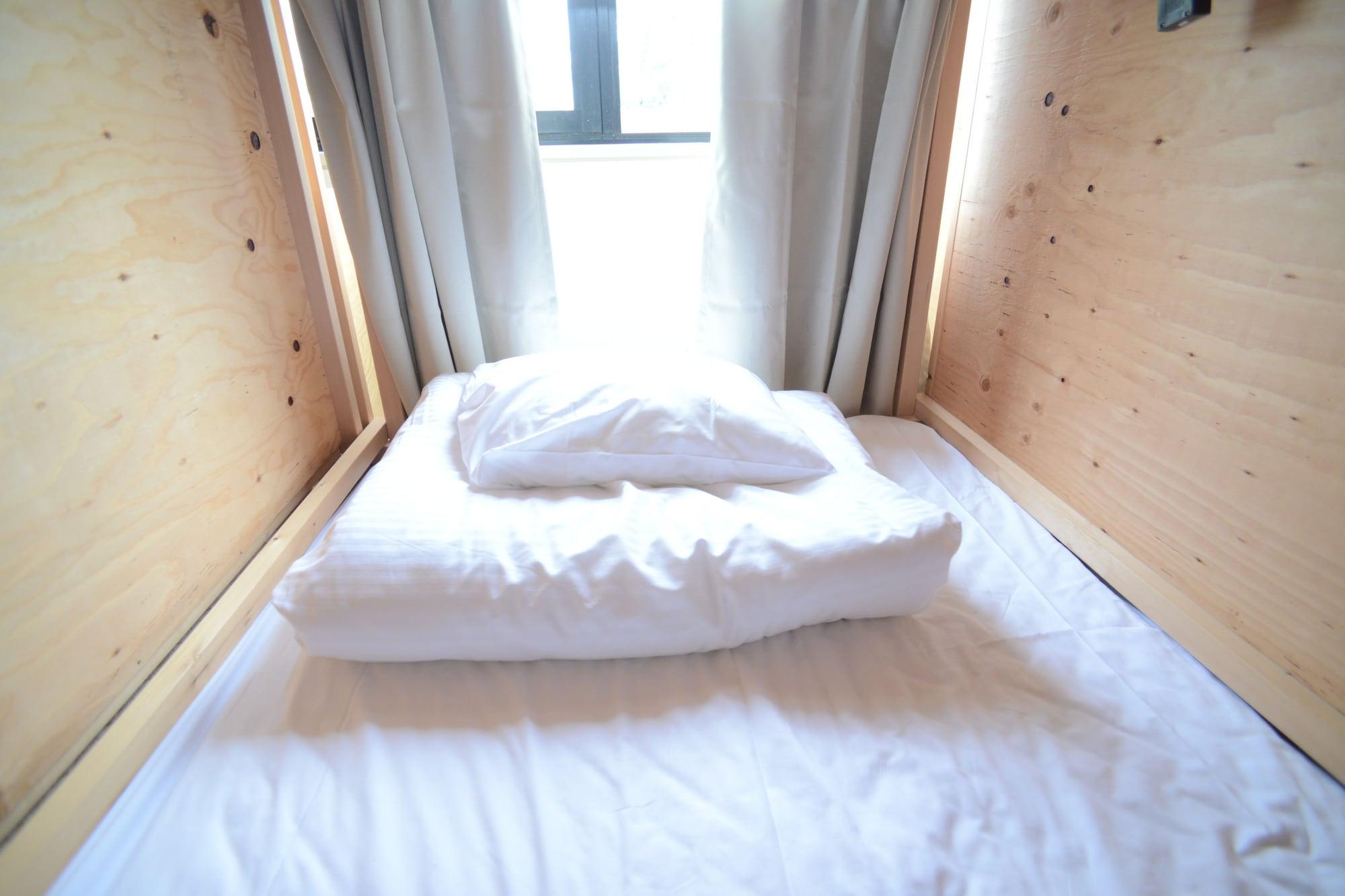 Artnshelter -